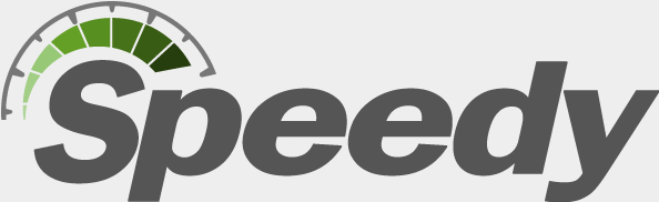 Speedy Gutter Cleaning