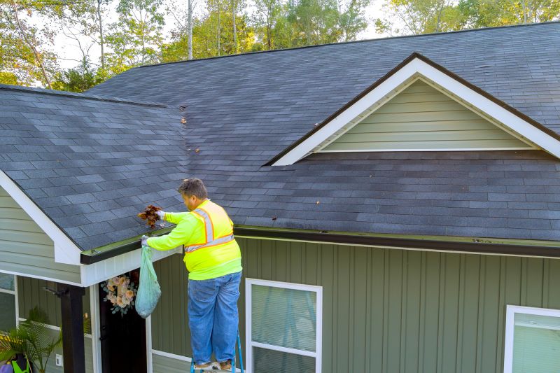 Cleaning Gutters on a Ladder